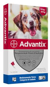pipettes antiparasitaires chien